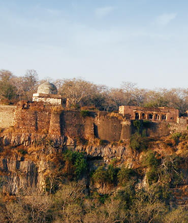 ranthambore fort.jpg